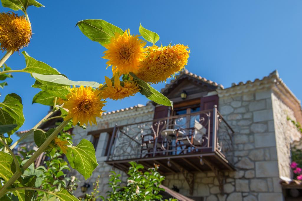 בית הארחה Plános 	Ktima Kourou חדר תמונה